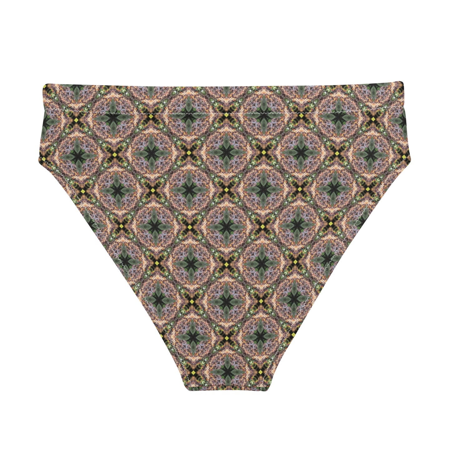 Singapore recycled high-waisted bikini bottom